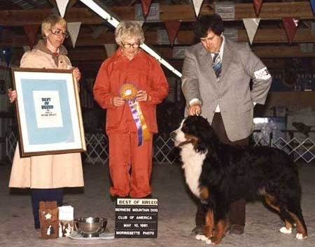 Best in Specialty Show / Futurity / Top 20 / High in Trial