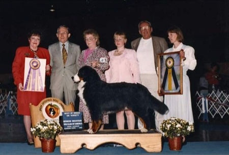 Best in Specialty Show / Futurity / Top 20 / High in Trial