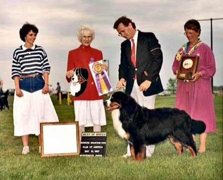 Best in Specialty Show / Futurity / Top 20 / High in Trial