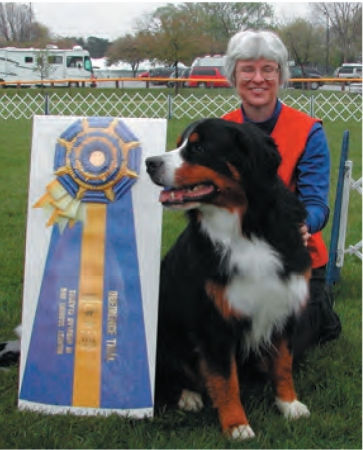 Best in Specialty Show / Futurity / Top 20 / High in Trial