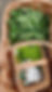 luoonnon_yrtit tutuiksi