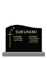 Kivi8.jpg