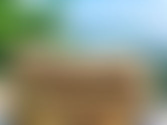 Tortillas Integrales