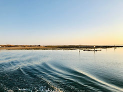 IMG_2087.jpg