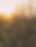 Untitled design - 6.png