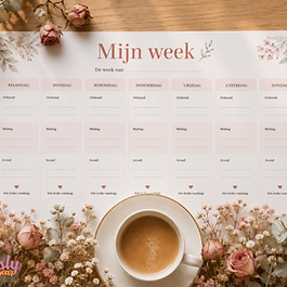 Blissly Bear weekplanner voor mama's met zeven dagen en tijdvakken ochtend middag en avond