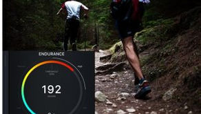 USE OF MUSCULAR TRAINING ZONES IN PRACTICE