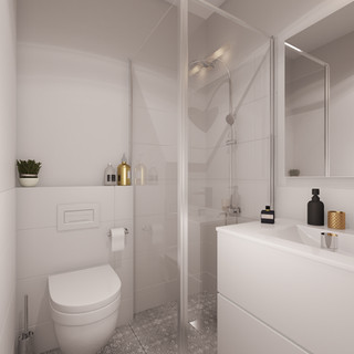 Reinhorn Home_Clininc_Bathroom_V_3 (1).j