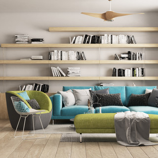 Reinhorn Home_Living_room (2).jpg