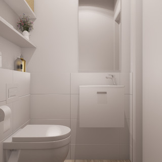 Reinhorn Home_Toilet_V_2 (1).jpg