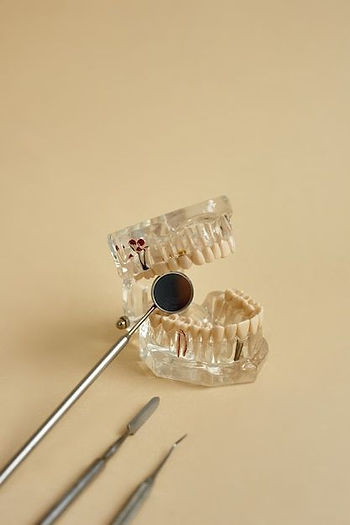 Modelo dental anatómico de ambas arcadas con espejo e instrumental de exploración