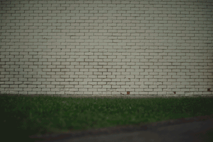 DSC02669low.gif