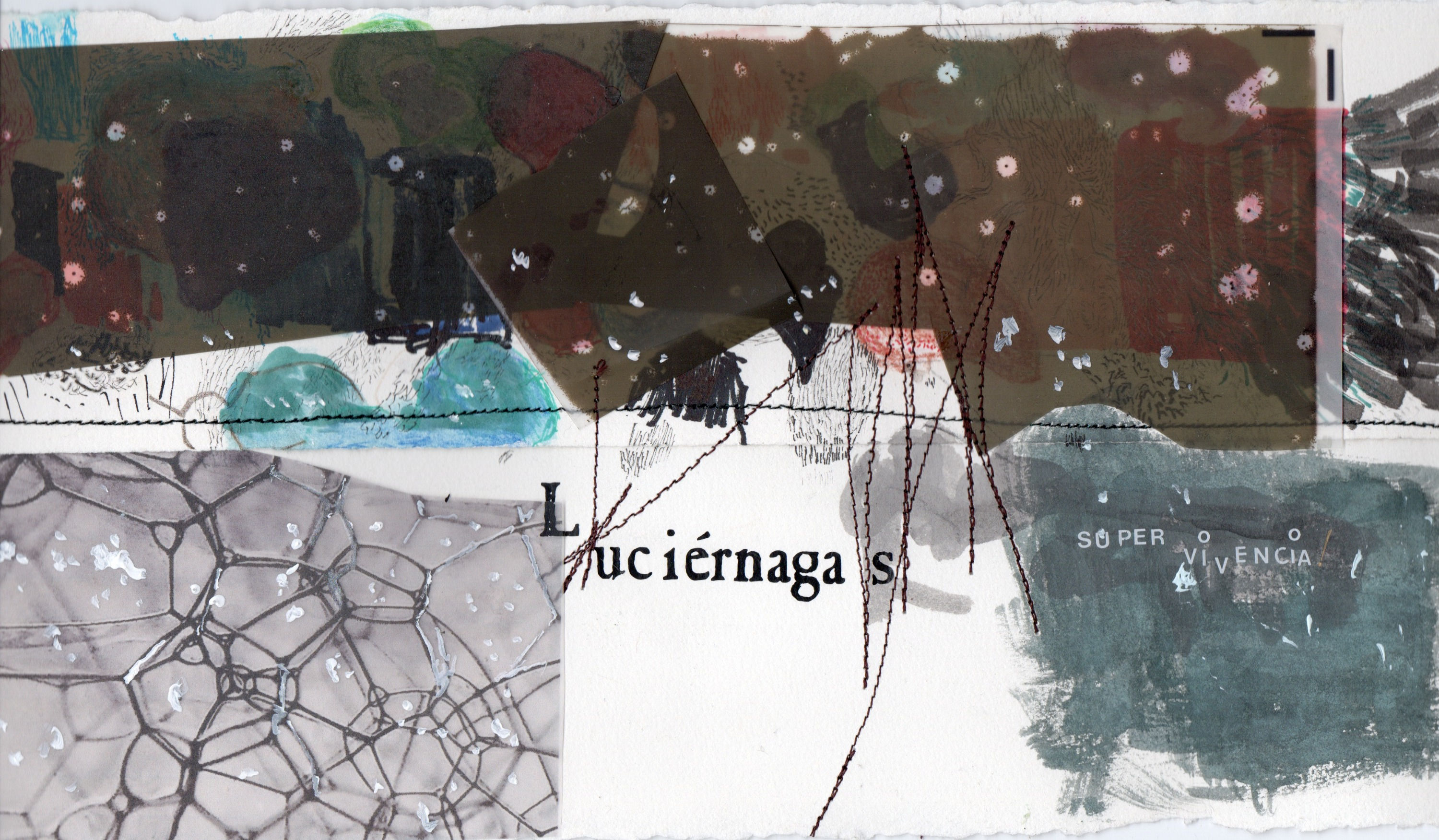 Luciérnagas supervivencia