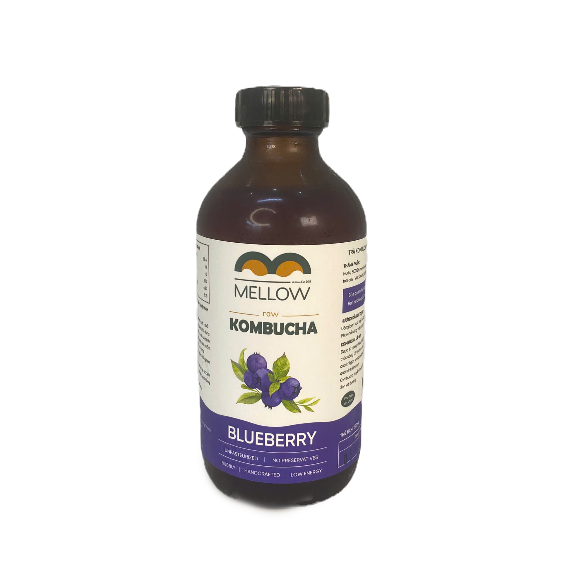 Blueberry Kombucha