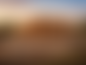 New Year, New Home: Why January Is A Smart Time to Start a Custom Build