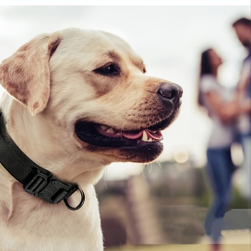 Thumbnail: Tactical Dog Collar, Adjustable Military Training Nylon Dog Collar with Control 