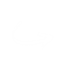 English & Chinese Oral & Communication Online Classes For Young Kids