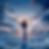 Urara_WingsOfDawn_signed.png