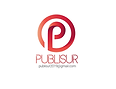 PUBLISUR Logo.png