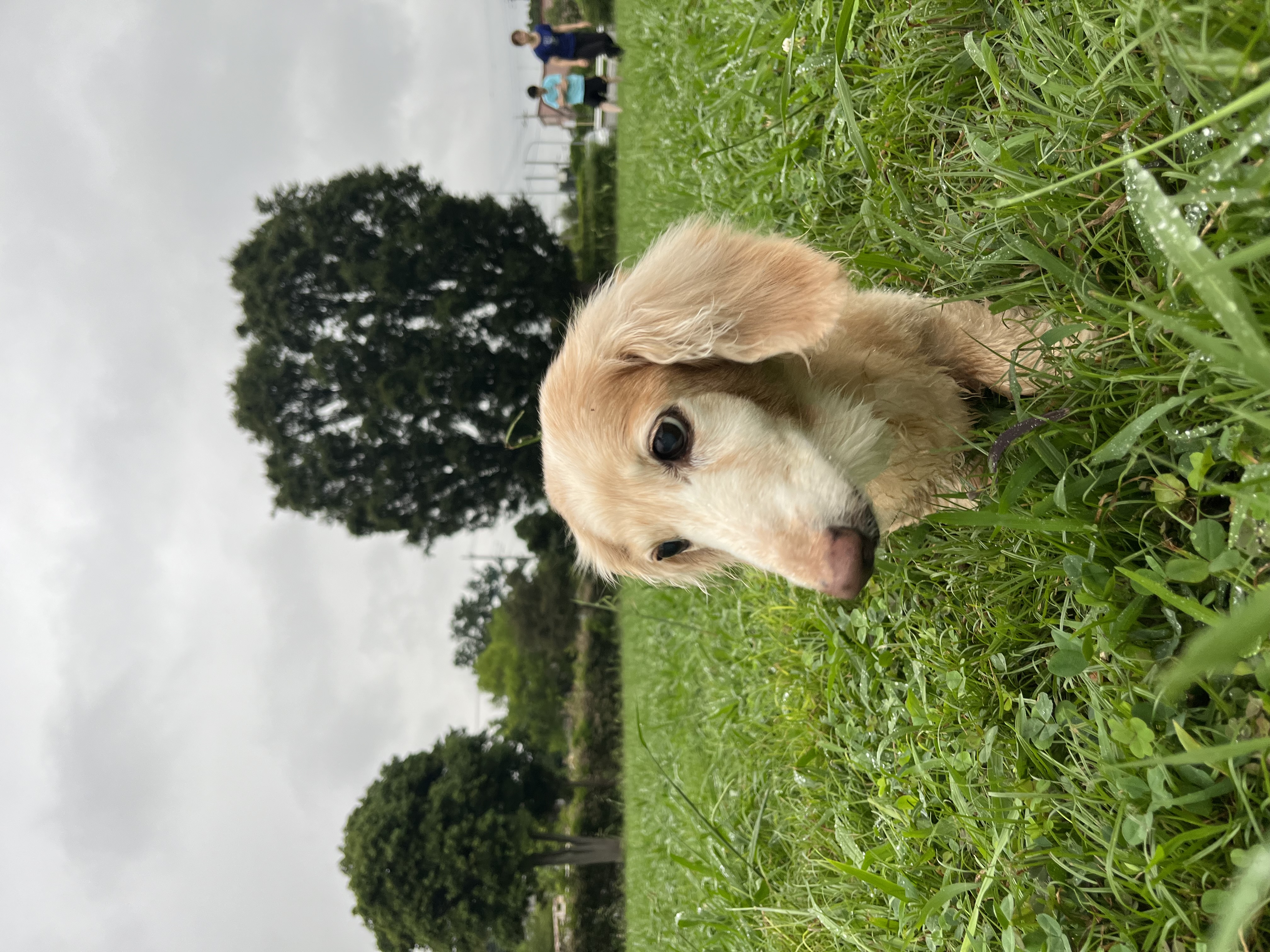 執筆者の写真: クリス