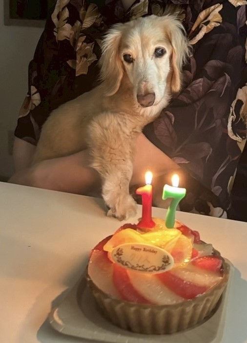 去年の誕生日。クリスは別メニューです。