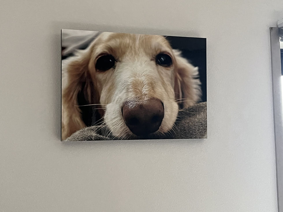 自室兼事務所の壁には新たにクリスのパネル。いつも見守られています。