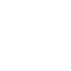 linkedinlogowhite
