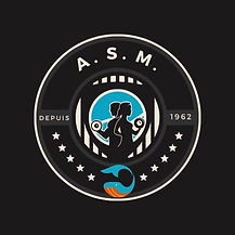 Logo ASM.jpg