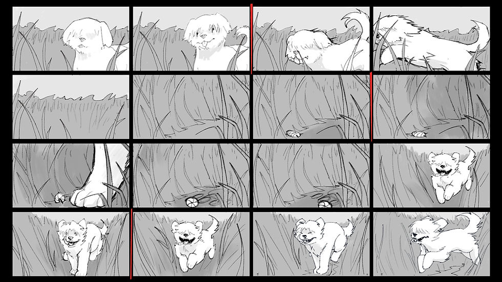 Field_Puppy_Storyboards04.jpg