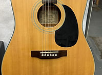 Ibanez PF5 Acoustic Guitar