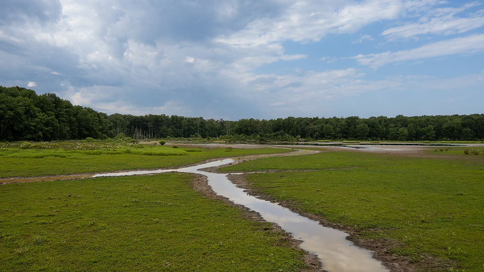 Wetland streams criss-crossing across the landscape under a partly cloudy blue sky