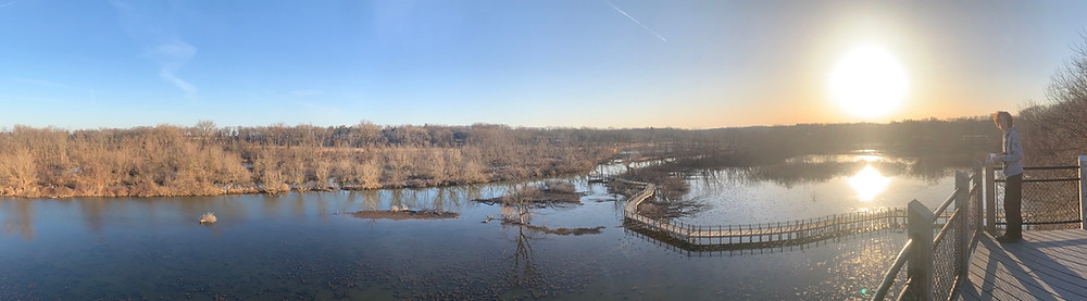 Thomas looking out at a view of the river.