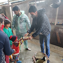 tulifoundation 3.jpeg