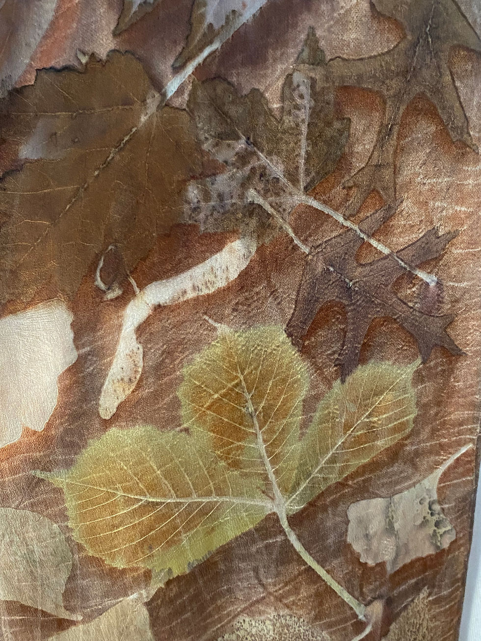 Thumbnail: Chestnut, Maple, Rose, and Birch Printed Scarf