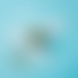 Coceira na Região Íntima: 5 causas que merecem sua atenção!