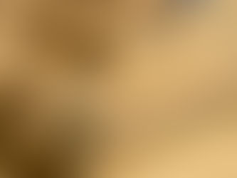 ללכת בדרכם - נחל תמר-צפית