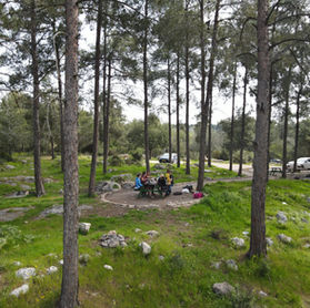 יער שגב - פיקניק, דרך נוף וסינגל אופניים