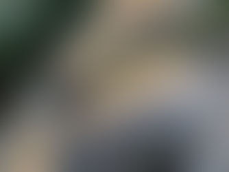 דרך הדורות - מוזיאון באמצע היער!