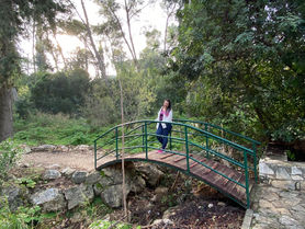 פארק כלניות בנשר