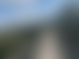 הגשרים התלויים בנשר