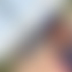 ספינת הדבור בבנימינה