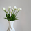 Thumbnail: Tulips - White