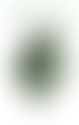 De verwondering (1962) Hugo Claus