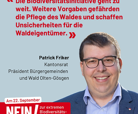 Testimonial Friker DE (002).png