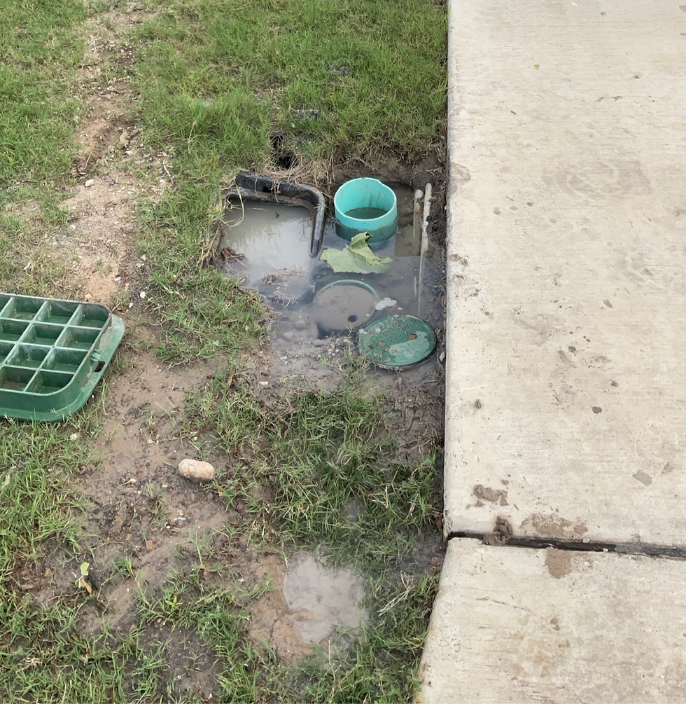 Standing water around a valve box caused by a broken underground water line in a residential yard in Cibolo TX