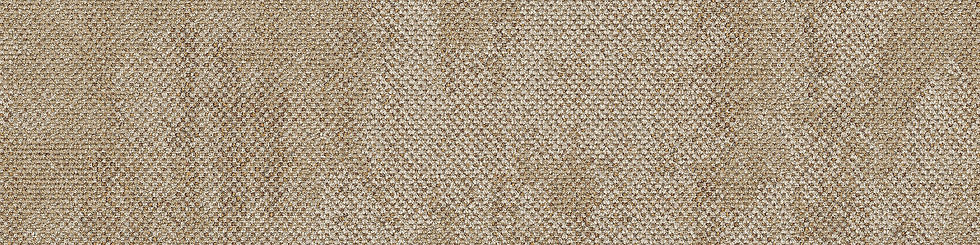 Thumbnail: Interface: Dry Bark