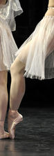 Gambettes - 09010904-07BF.jpg
