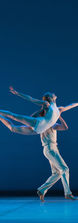 Freedom - 13070810-05BF.jpg