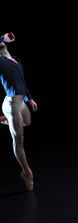 Danseur masqué -10120105-08BF.jpg