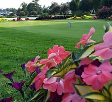 baywood-greens.jpg